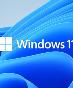 Alternative view of Microsoft Windows 11 Home DSP